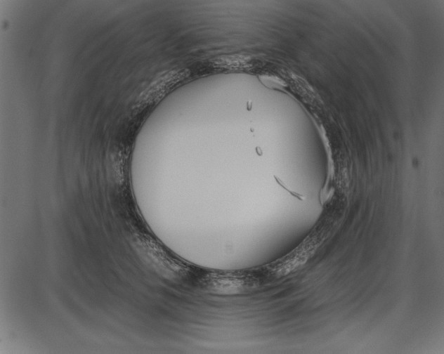 X0000086110658200704091419