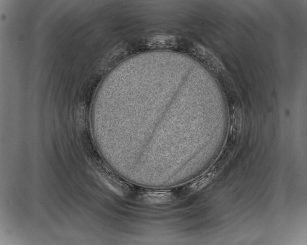 X0000086110659200704091419