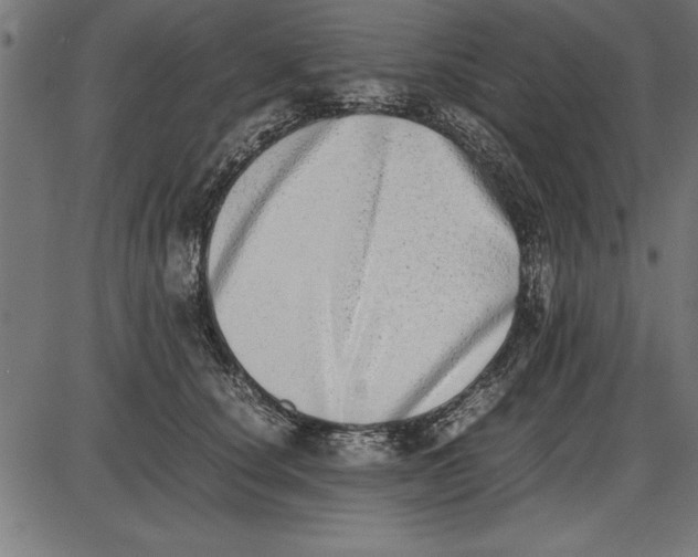 X0000086110660200704091419