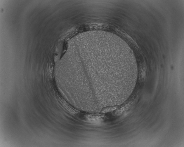 X0000086110661200704091420