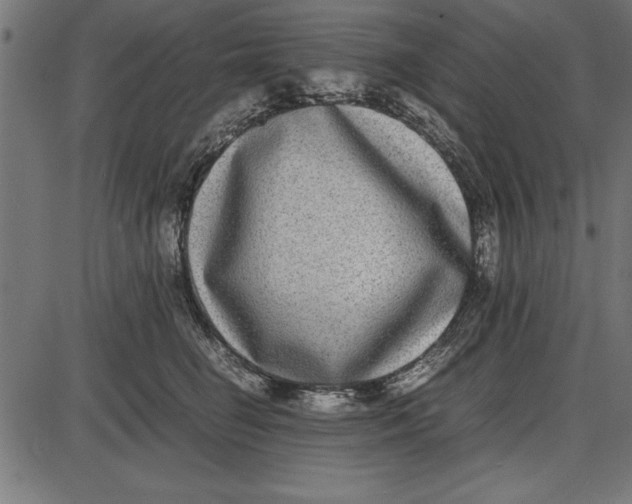 X0000086110662200704091420