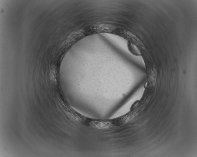 X0000086110663200704091420