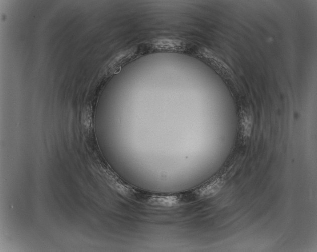 X0000086110665200704091420