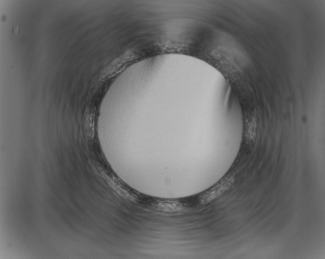 X0000086110666200704091420