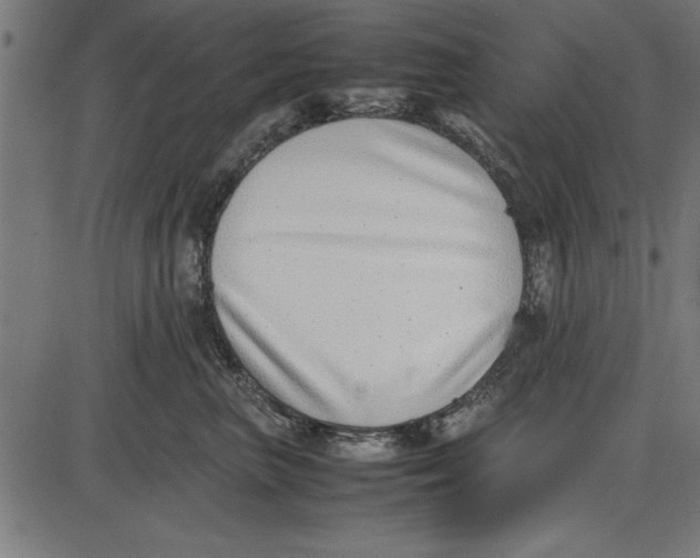 X0000086110667200704091420