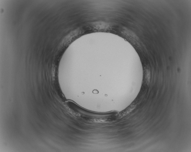 X0000086110668200704091420