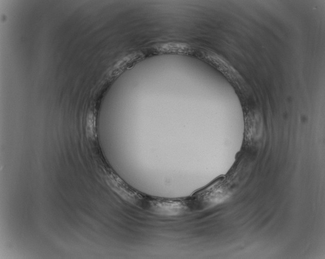 X0000086110669200704091420