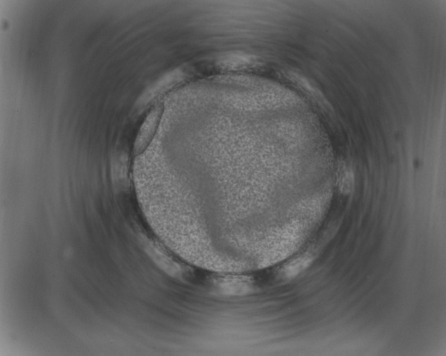 X0000086110670200704091420