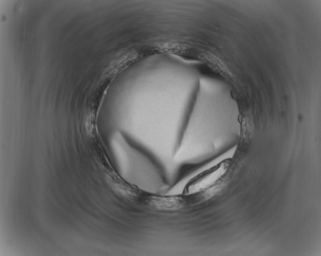 X0000086110671200704091420