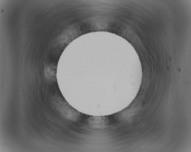 X0000086110672200704091420