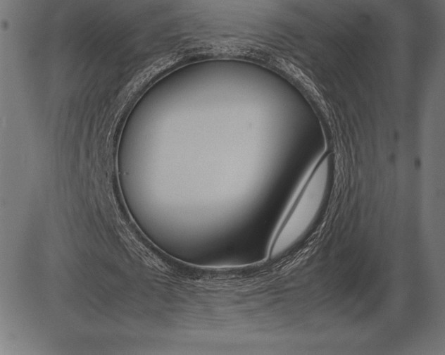 X0000086110673200704091419