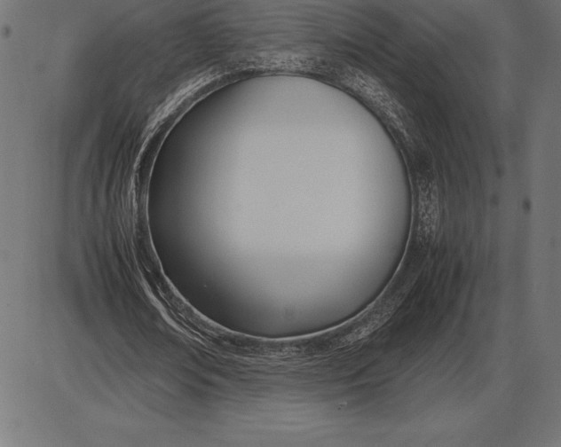 X0000086110674200704091419