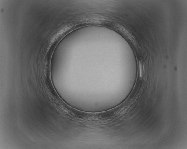 X0000086110675200704091419