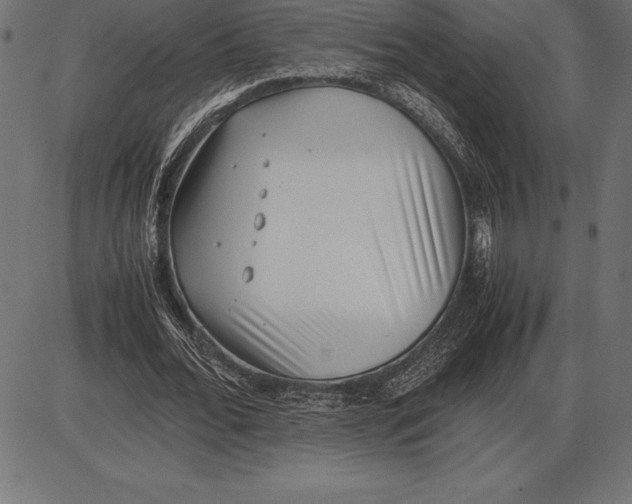 X0000086110676200704091419