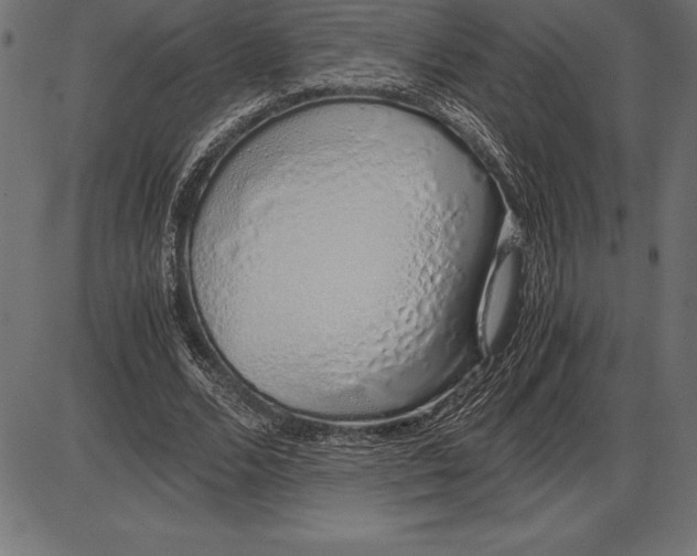 X0000086110680200704091419