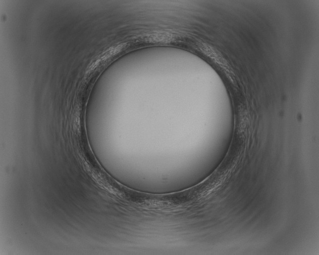 X0000086110681200704091419