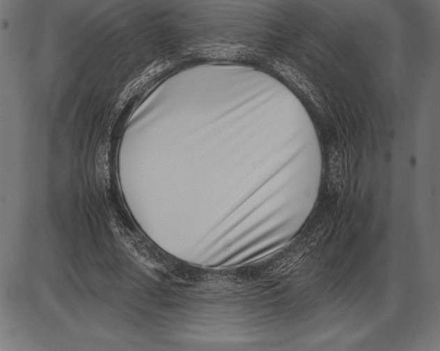 X0000086110682200704091419