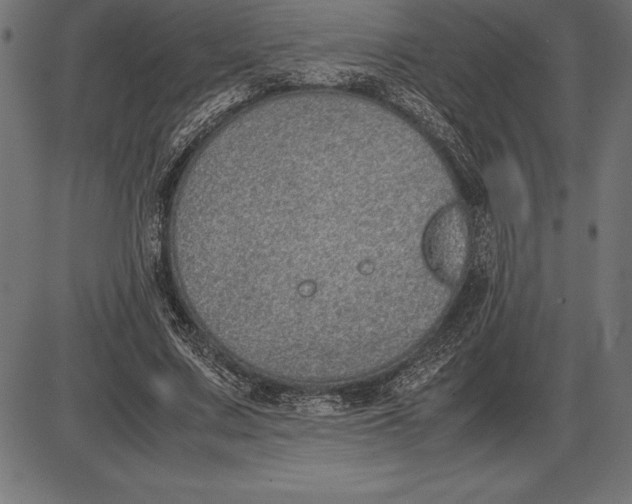 X0000086110683200704091419