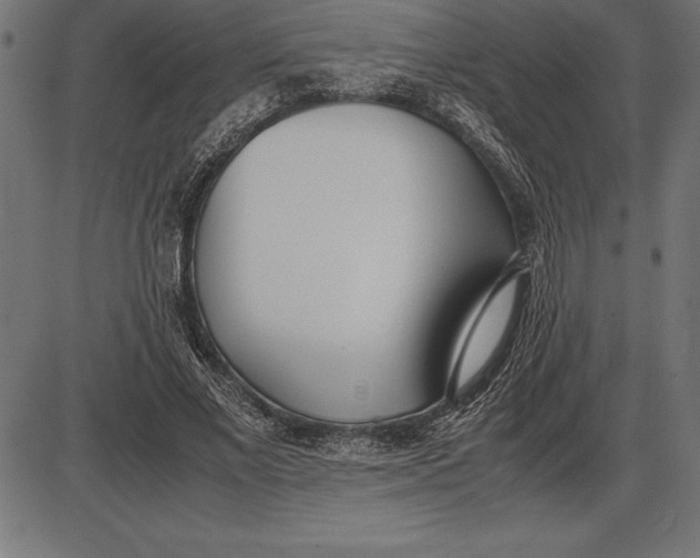 X0000086110685200704091419