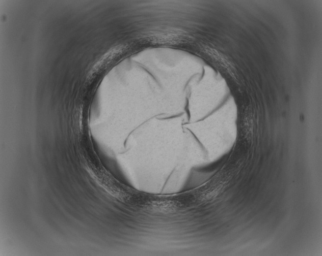 X0000086110686200704091419