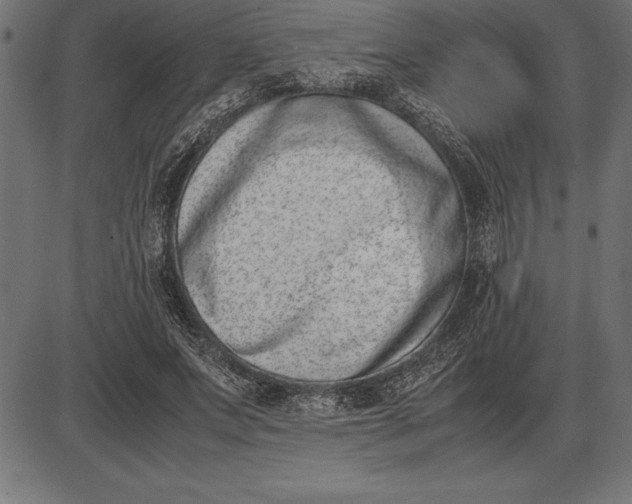 X0000086110687200704091419