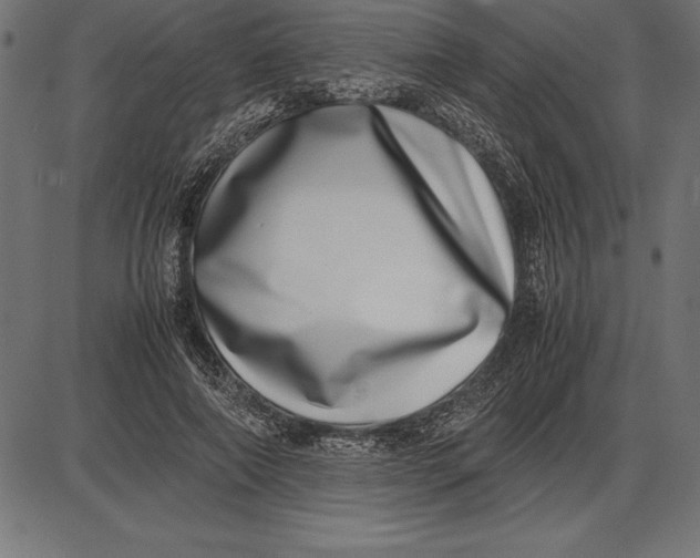 X0000086110690200704091419