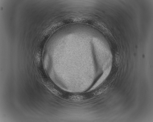 X0000086110691200704091419