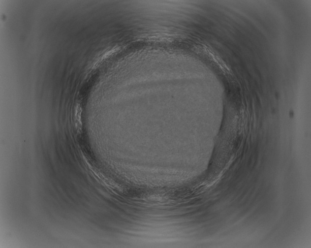 X0000086110692200704091419