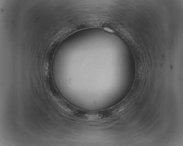 X0000086110693200704091419