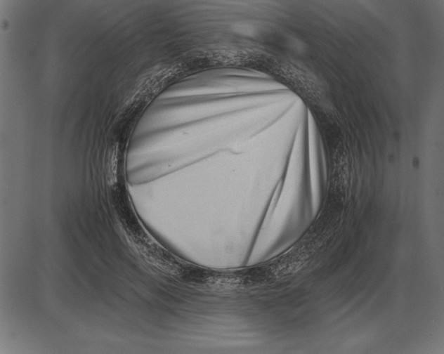 X0000086110694200704091419