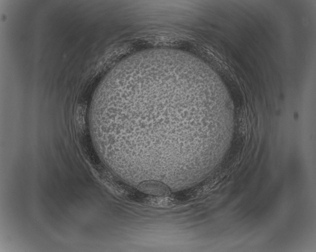 X0000086110695200704091419