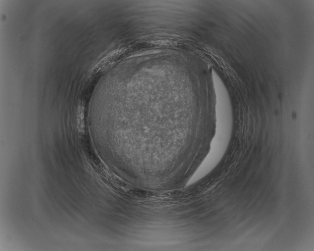 X0000086110696200704091419