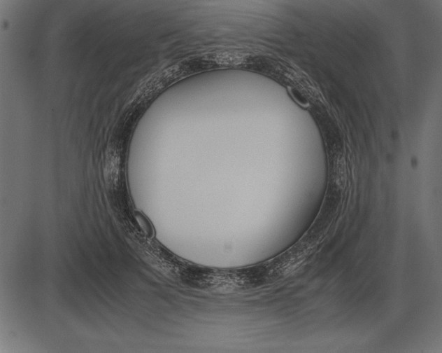 X0000086110697200704091418