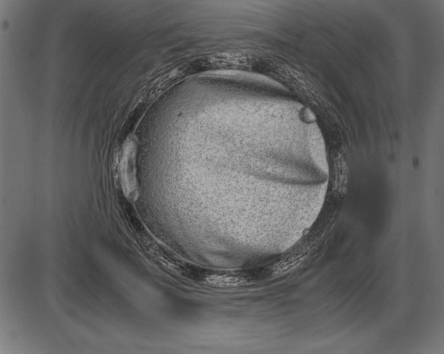 X0000086110699200704091418