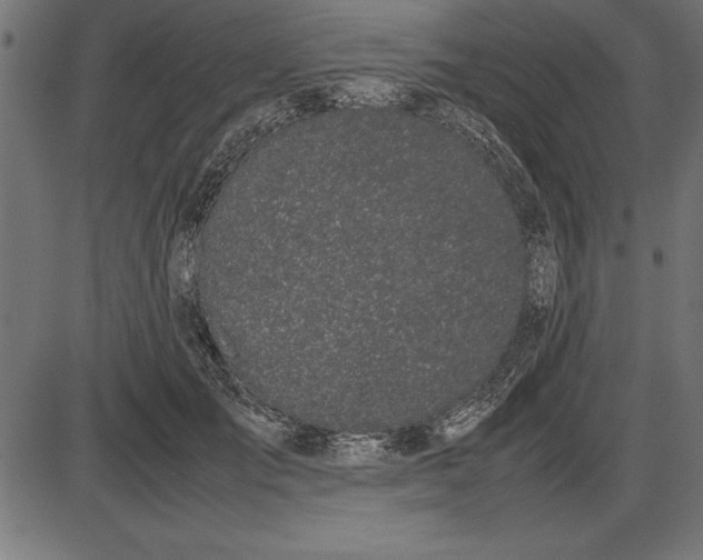 X0000086110701200704091418