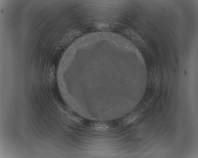 X0000086110702200704091418