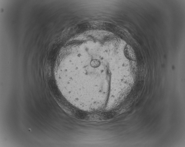 X0000086110703200704091418