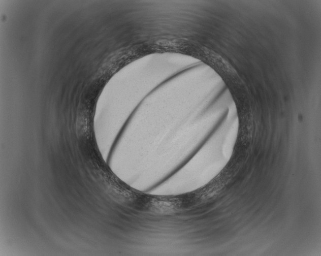 X0000086110706200704091418