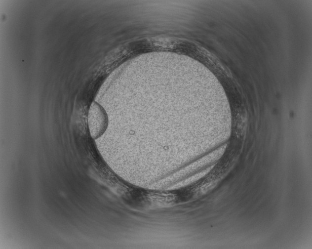 X0000086110707200704091418