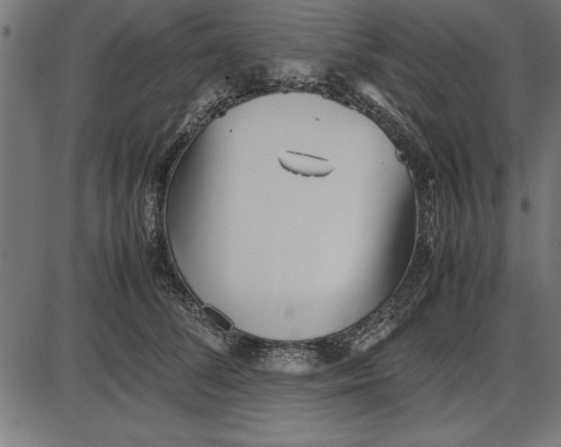 X0000086110708200704091418