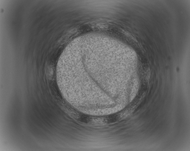 X0000086110709200704091418