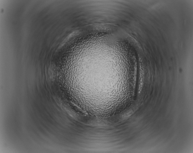 X0000086110712200704091418