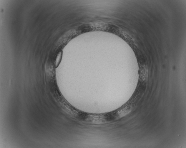 X0000086110713200704091418