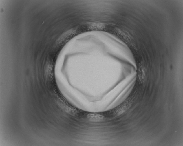 X0000086110714200704091418