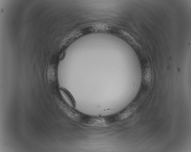 X0000086110715200704091418