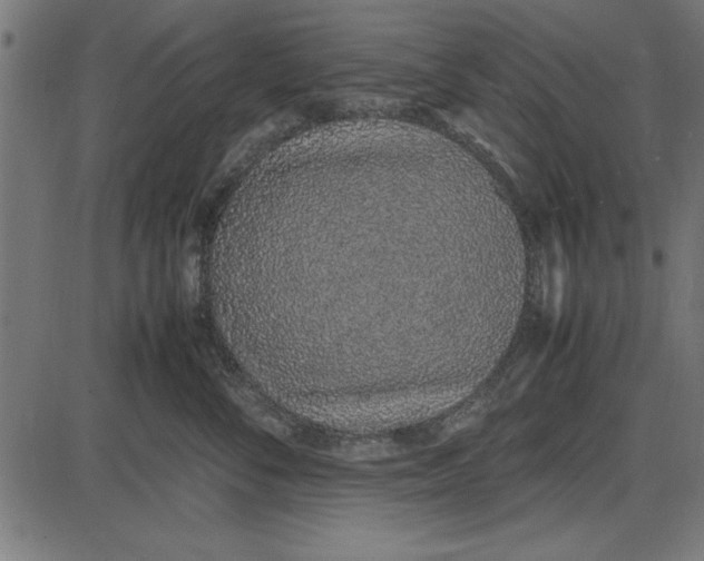 X0000086110716200704091418