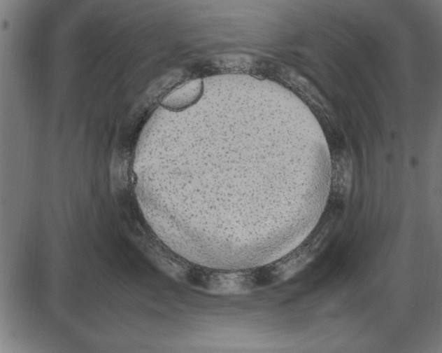 X0000086110717200704091418