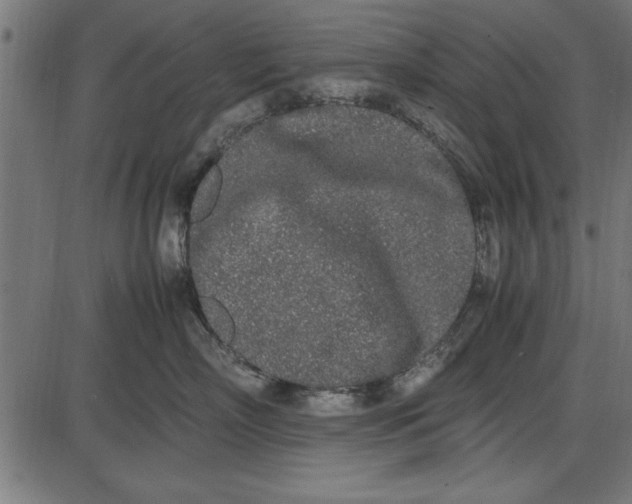 X0000086110718200704091418