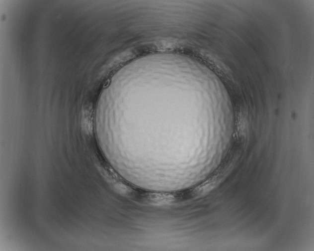 X0000086110719200704091418