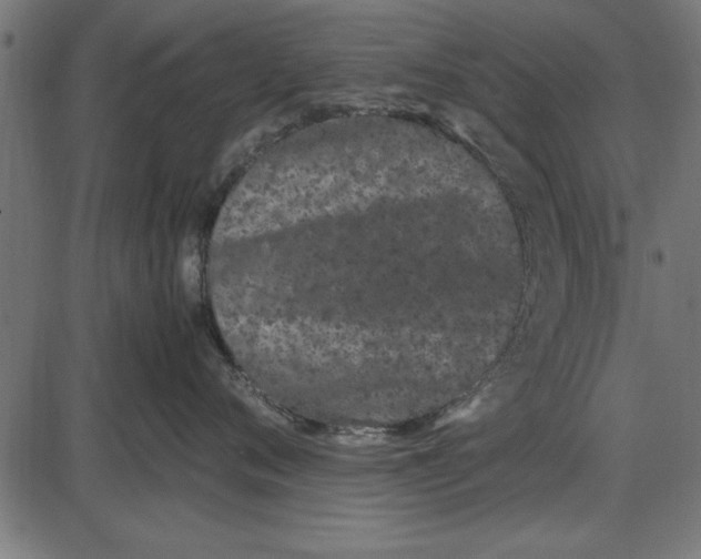 X0000086110720200704091418